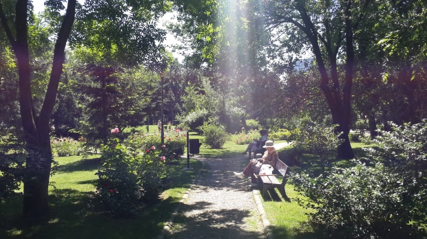 Parque Kiseleff Bucharest